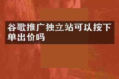 谷歌推广独立站可以按下单出价吗