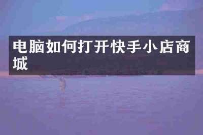 电脑如何打开快手小店商城
