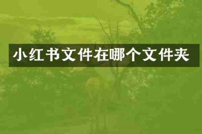 小红书文件在哪个文件夹