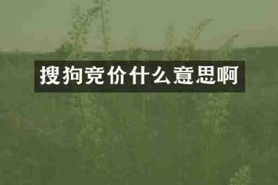 搜狗竞价什么意思啊