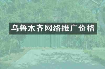 乌鲁木齐网络推广价格