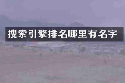 搜索引擎排名哪里有名字
