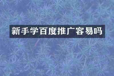 新手学百度推广容易吗