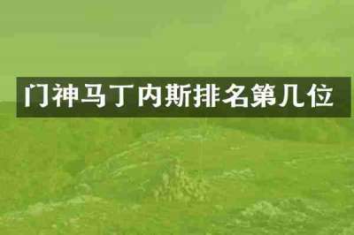 门神马丁内斯排名第几位