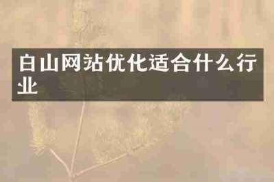 白山网站优化适合什么行业