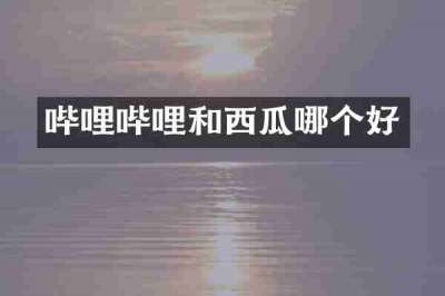 哔哩哔哩和西瓜哪个好