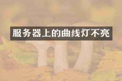服务器上的曲线灯不亮