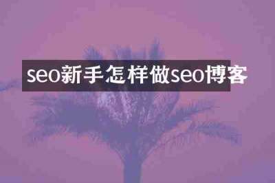 seo新手怎样做seo博客