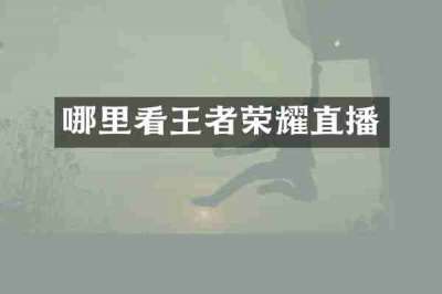 哪里看王者荣耀直播