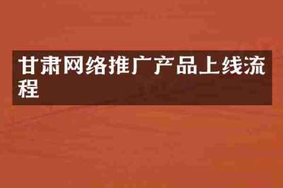甘肃网络推广产品上线流程