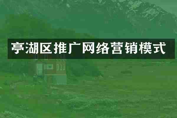 亭湖区推广网络营销模式