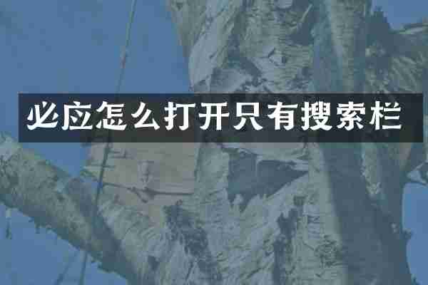 必应怎么打开只有搜索栏