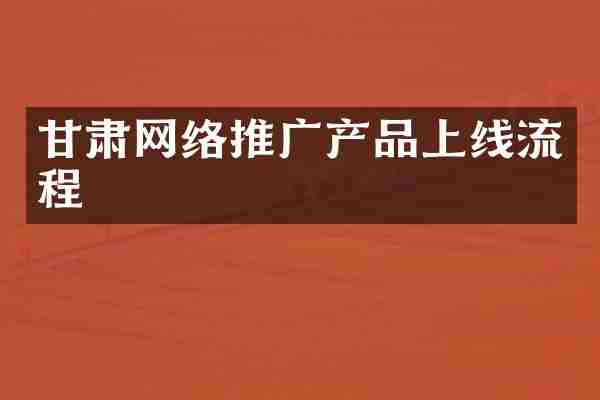 甘肃网络推广产品上线流程