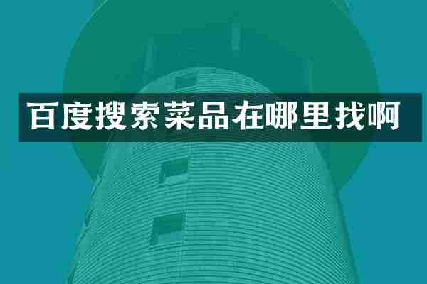 百度搜索菜品在哪里找啊