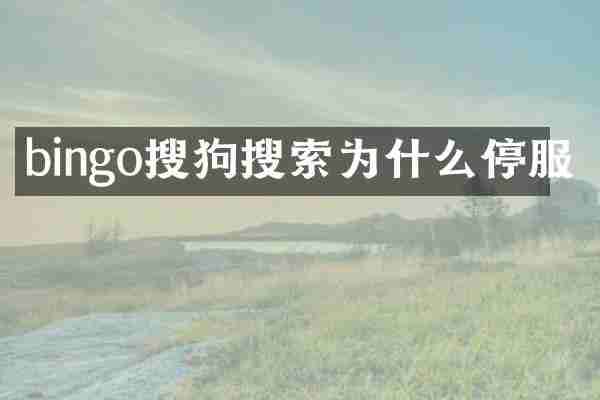 bingo搜狗搜索为什么停服