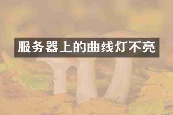 服务器上的曲线灯不亮