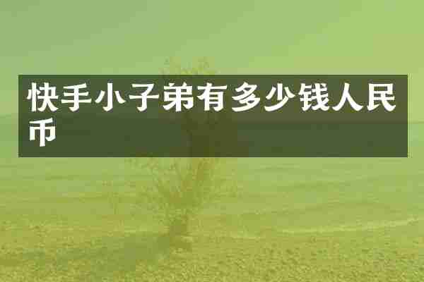 快手小子弟有多少钱