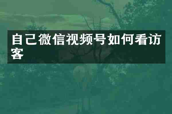 自己微信视频号如何看访客