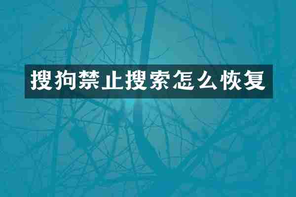 搜狗禁止搜索怎么恢复