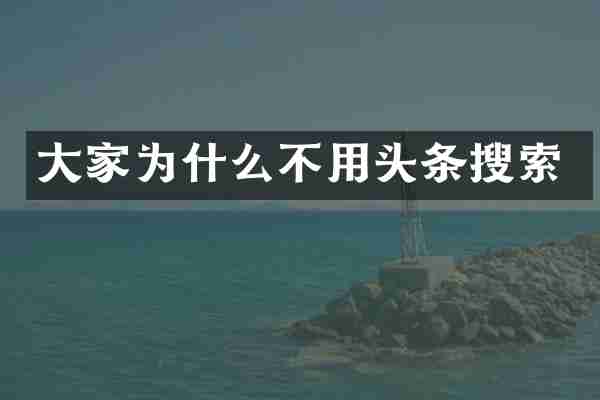 大家为什么不用头条搜索