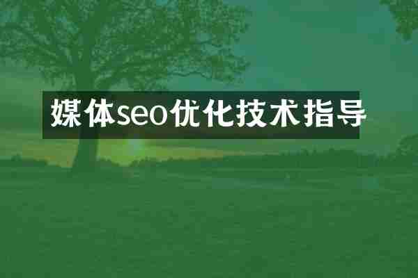 媒体seo优化技术指导