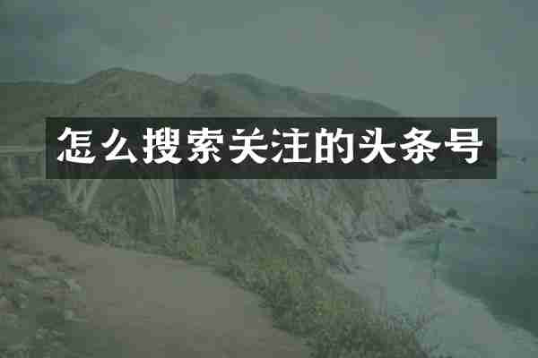 怎么搜索关注的头条号