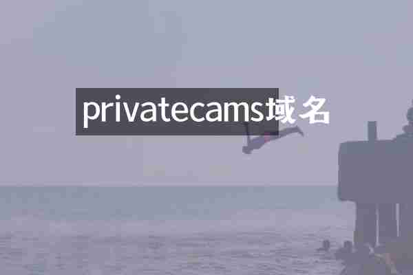 privatecams域名