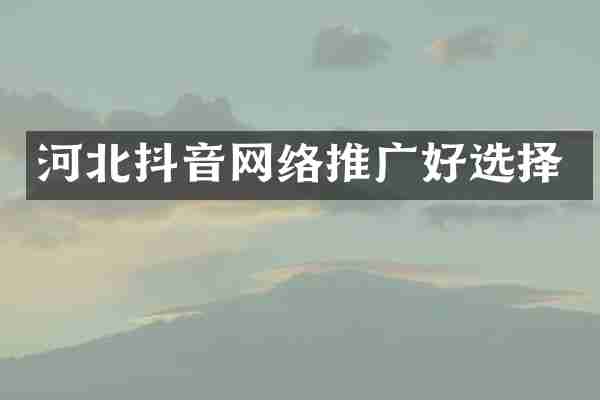 河北抖音网络推广好选择