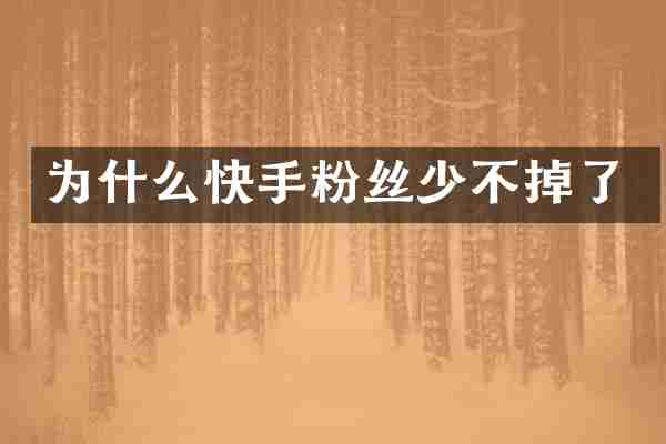 为什么快手粉丝少不掉了