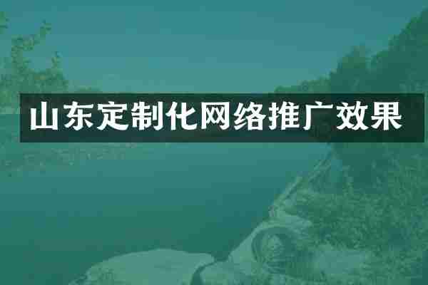 山东定制化网络推广效果