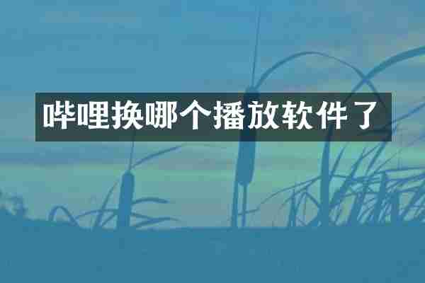 哔哩换哪个播放软件了