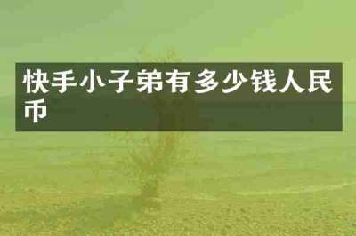 快手小子弟有多少钱人民币