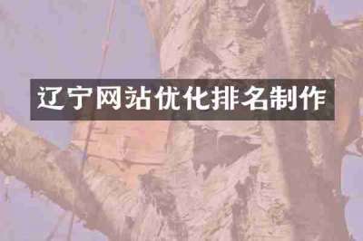 辽宁网站优化排名制作
