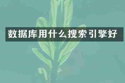 数据库用什么搜索引擎好