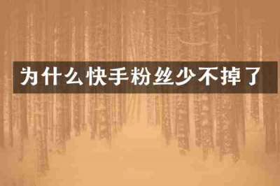 为什么快手粉丝少不掉了