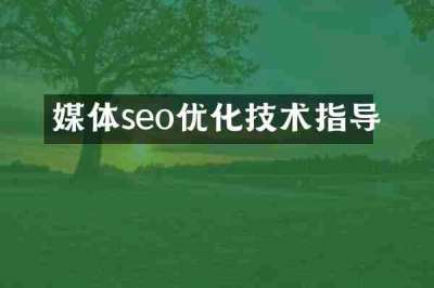 媒体seo优化技术指导