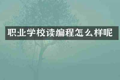 职业学校读编程怎么样呢