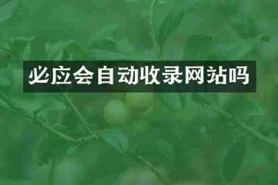 必应会自动收录网站吗