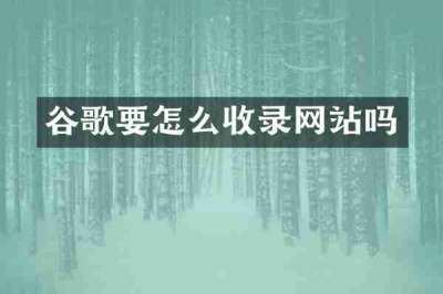 谷歌要怎么收录网站吗