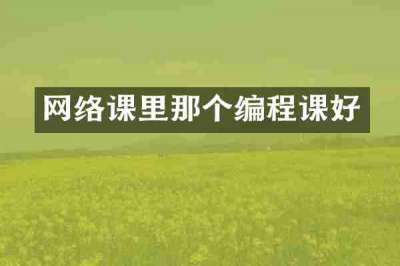 网络课里那个编程课好