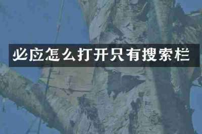 必应怎么打开只有搜索栏
