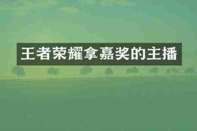 王者荣耀拿嘉奖的主播