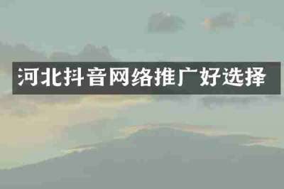 河北抖音网络推广好选择