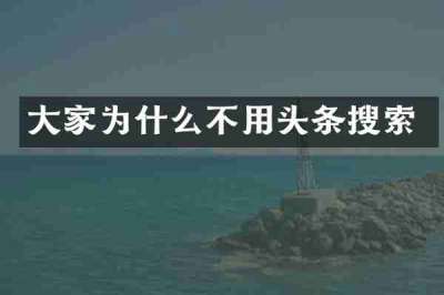 大家为什么不用头条搜索