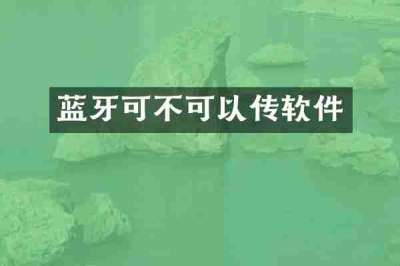 蓝牙可不可以传软件