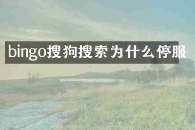 bingo搜狗搜索为什么停服