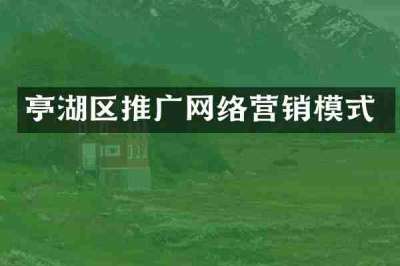 亭湖区推广网络营销模式