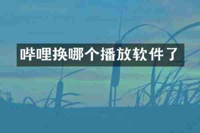 哔哩换哪个播放软件了