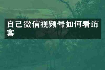 自己微信视频号如何看访客