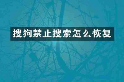 搜狗禁止搜索怎么恢复